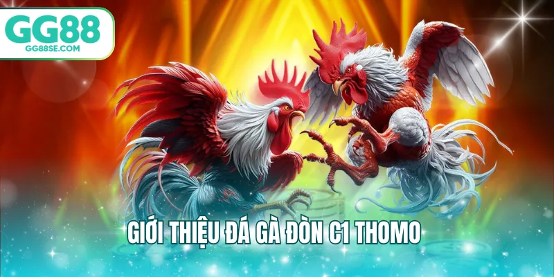 Giới thiệu đá gà đòn c1 thomo
