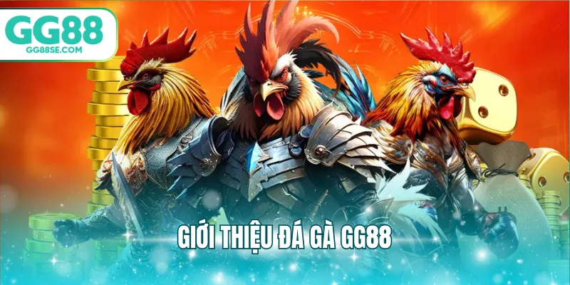 Giới thiệu đá gà GG88